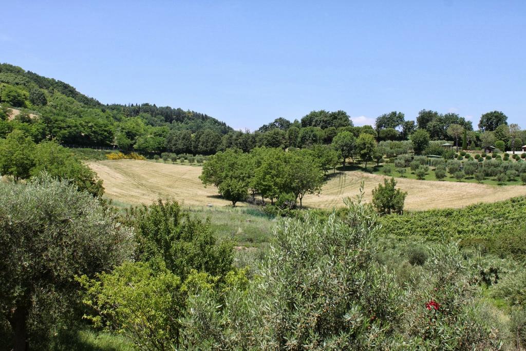Villa Melagrana Fano Rom bilde