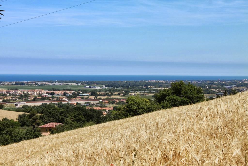 Villa Melagrana Fano Rom bilde