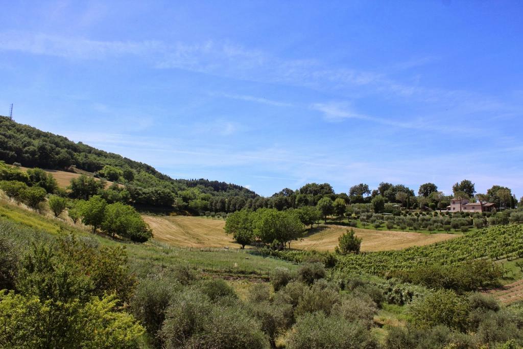 Villa Melagrana Fano Rom bilde