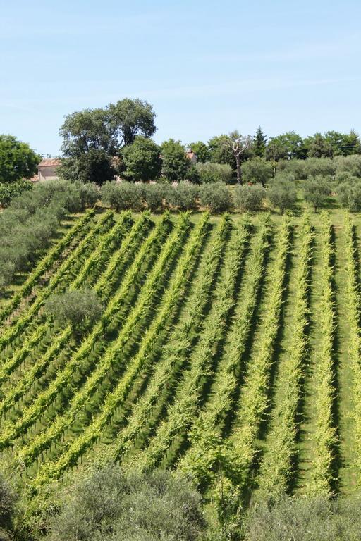 Villa Melagrana Fano Rom bilde