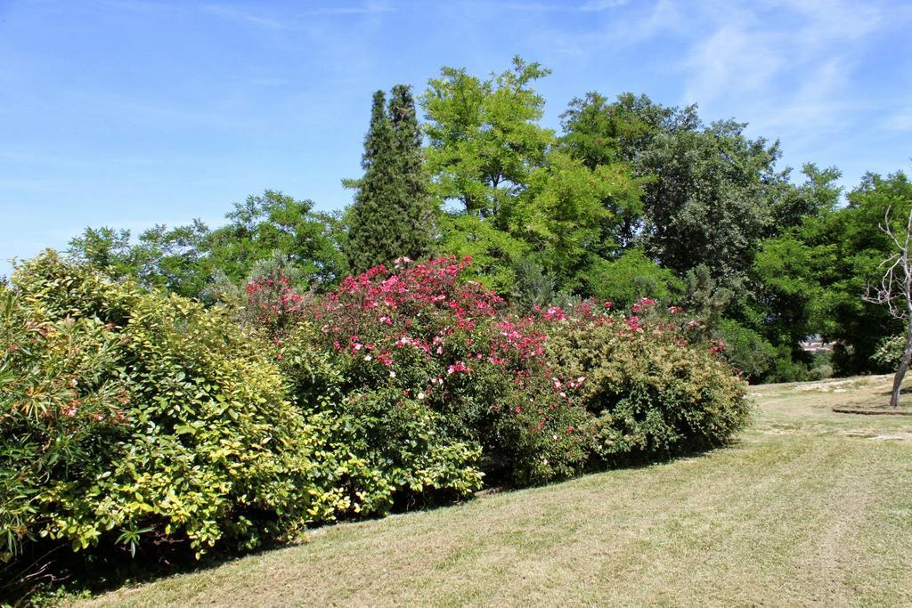 Villa Melagrana Fano Rom bilde
